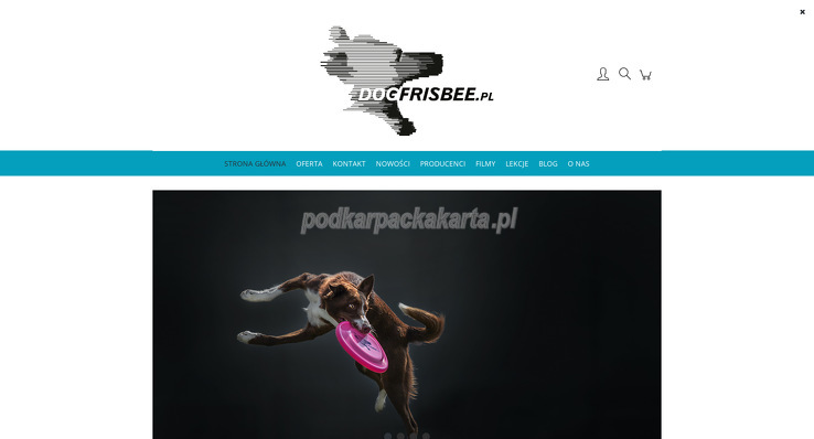 dogfrisbee-pl