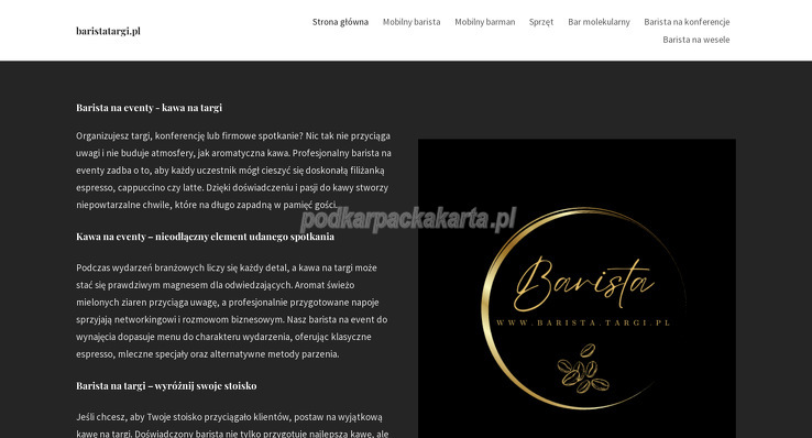 adam-hologa-gastro-bar-service